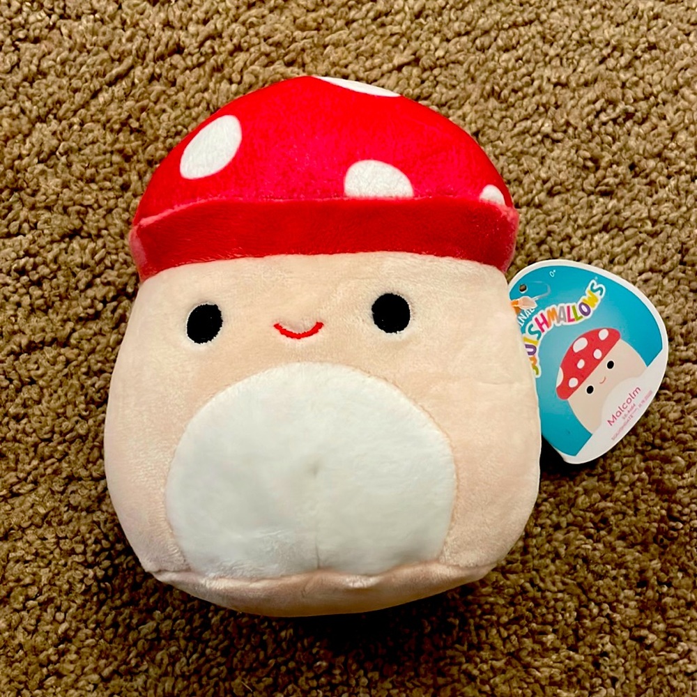 Rare brand new 5inch mushroom squishmallow. Malcom